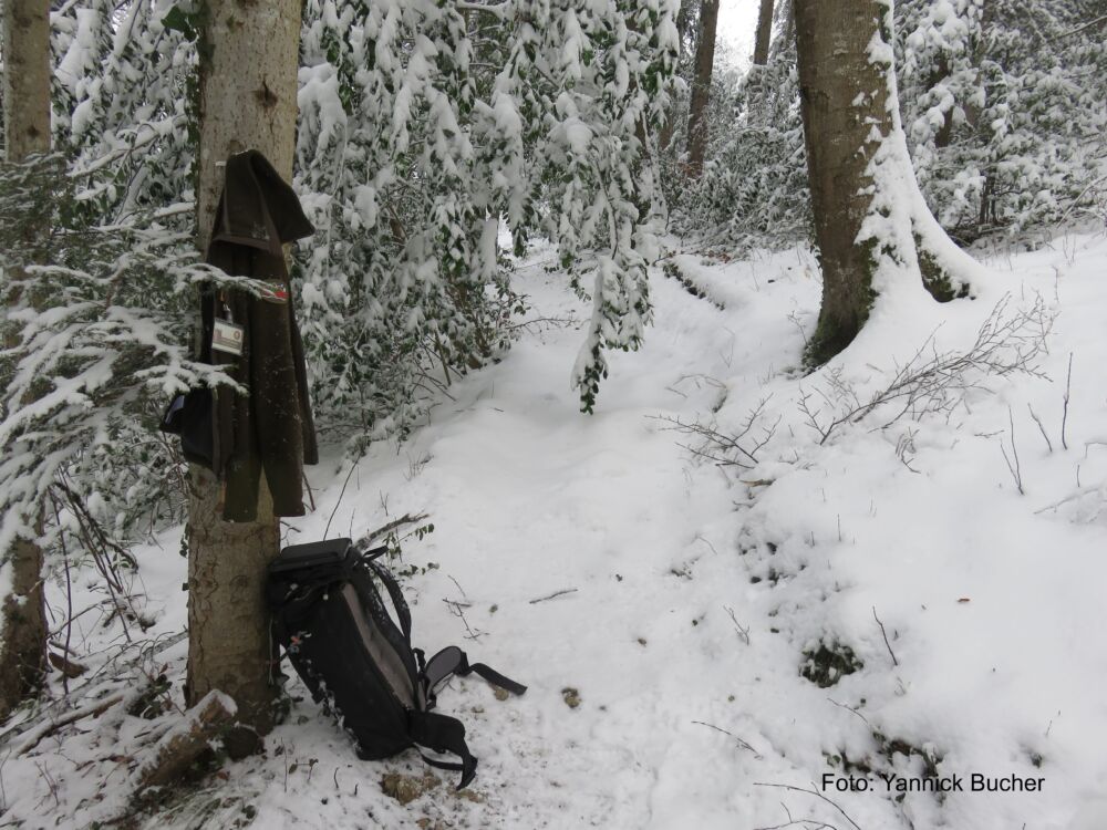 Material im Schnee Kopie
