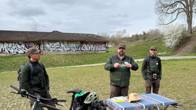 26 03 16 Presseinfo M Lack