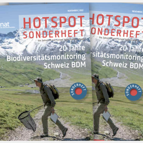 Bildschirmfoto 2025 02 25 um 12 49 38