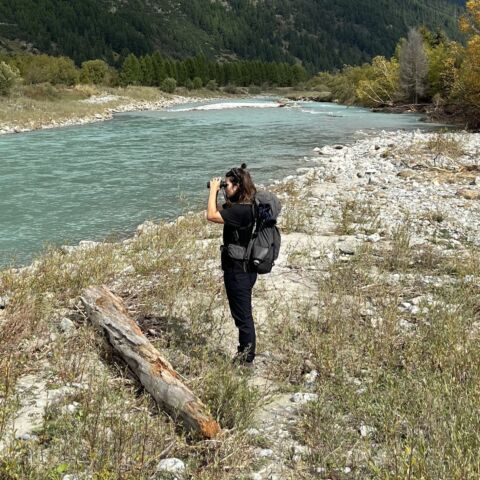 Gaelle Bild 2