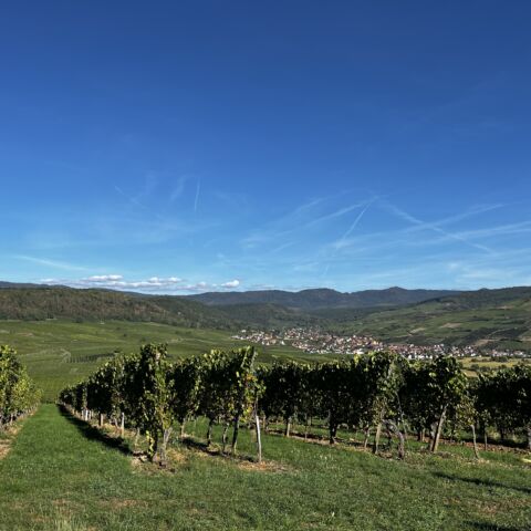 Image00037